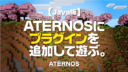 Minecraft【Java版】ATERNOSにプラグインサーバーを追加。